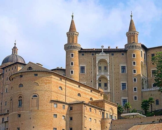 Urbino